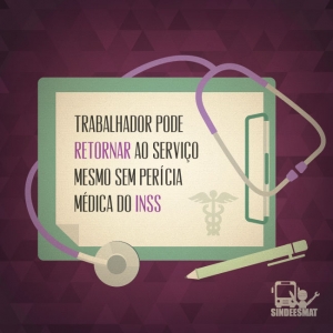 direito-28-sindeesmat