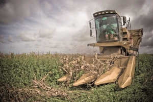 2012050210054_5maquina-luiz-alves